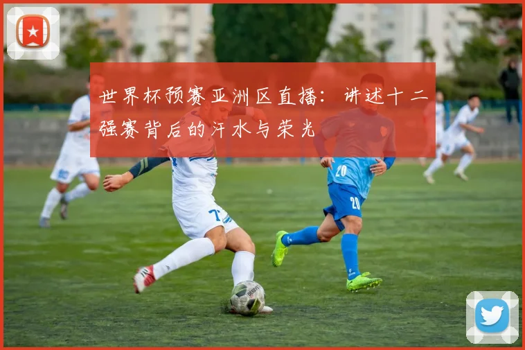 世界杯预赛亚洲区直播：讲述十二强赛背后的汗水与荣光