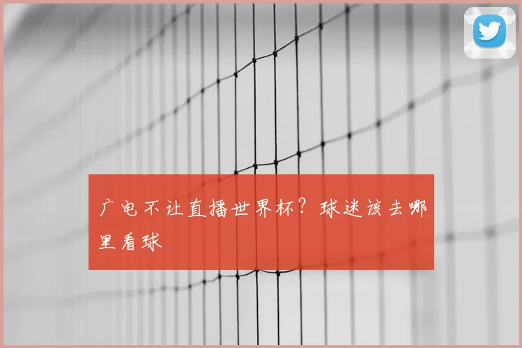 广电不让直播世界杯?球迷该去哪里看球