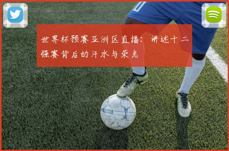 世界杯预赛亚洲区直播：讲述十二强赛背后的汗水与荣光